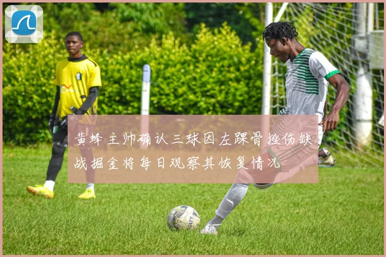黄蜂主帅确认三球因左踝骨挫伤缺战掘金将每日观察其恢复情况