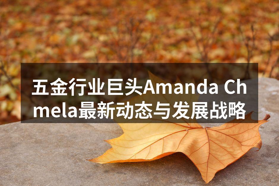 五金行业巨头Amanda Chmela最新动态与发展战略